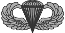 The Parachutist Badge aka "Jump wings"