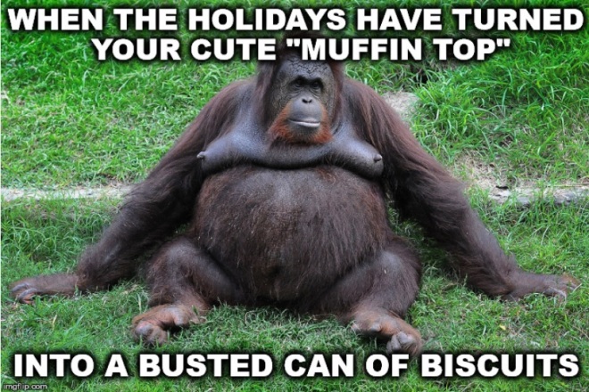 Busted Biscuits